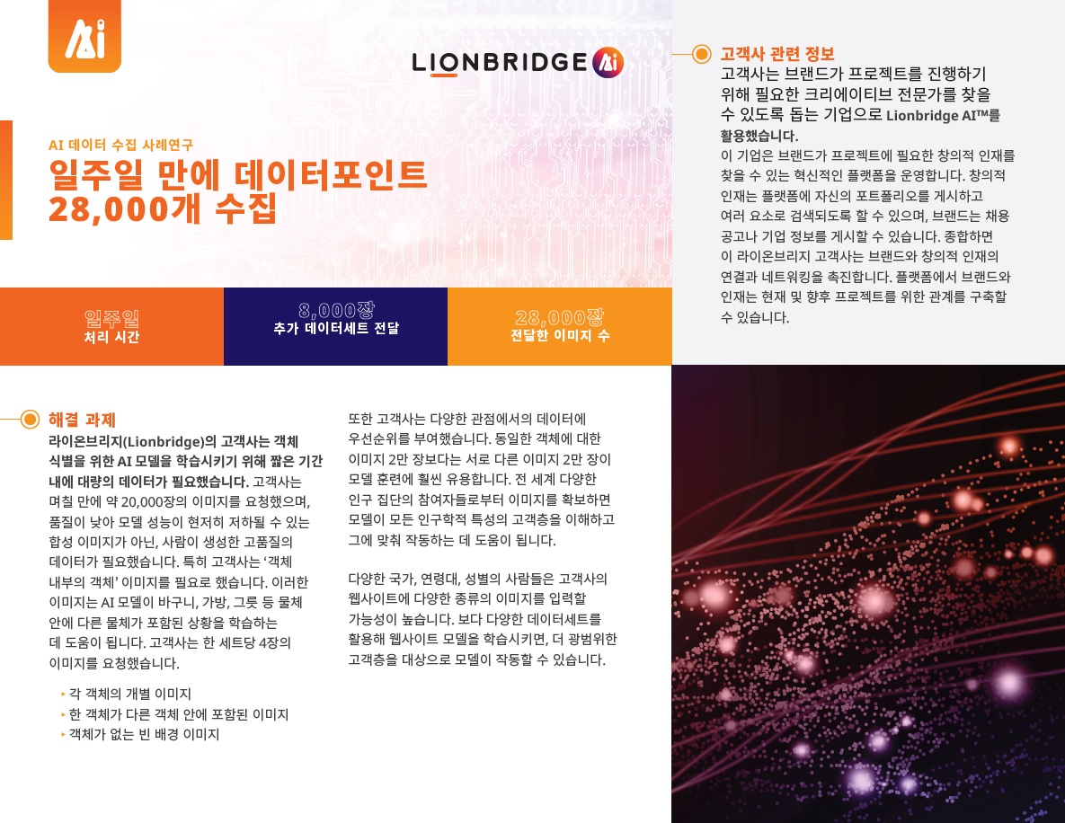 AI 데이터 수집 사례연구 표지
