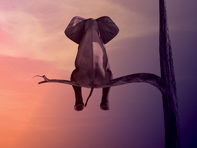 Aurora leuchtet hinter digitalen Strahlen