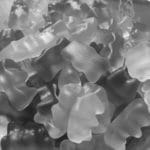 Haribo Transcreation Beispiel