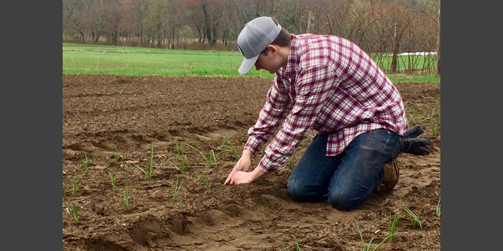 Lionbridge Waltham team member digs in the dirt at a local community farm