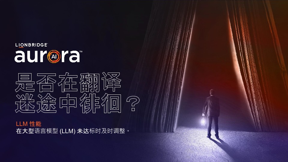 《Lost in Translation》演示文稿的封面