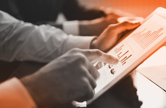 Person reading an annual report on a tablet