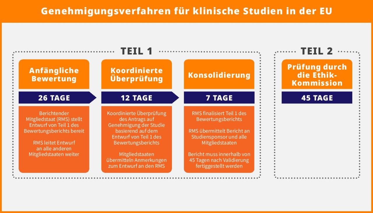 Genehmigungsprozess für klinische Studien in der EU
