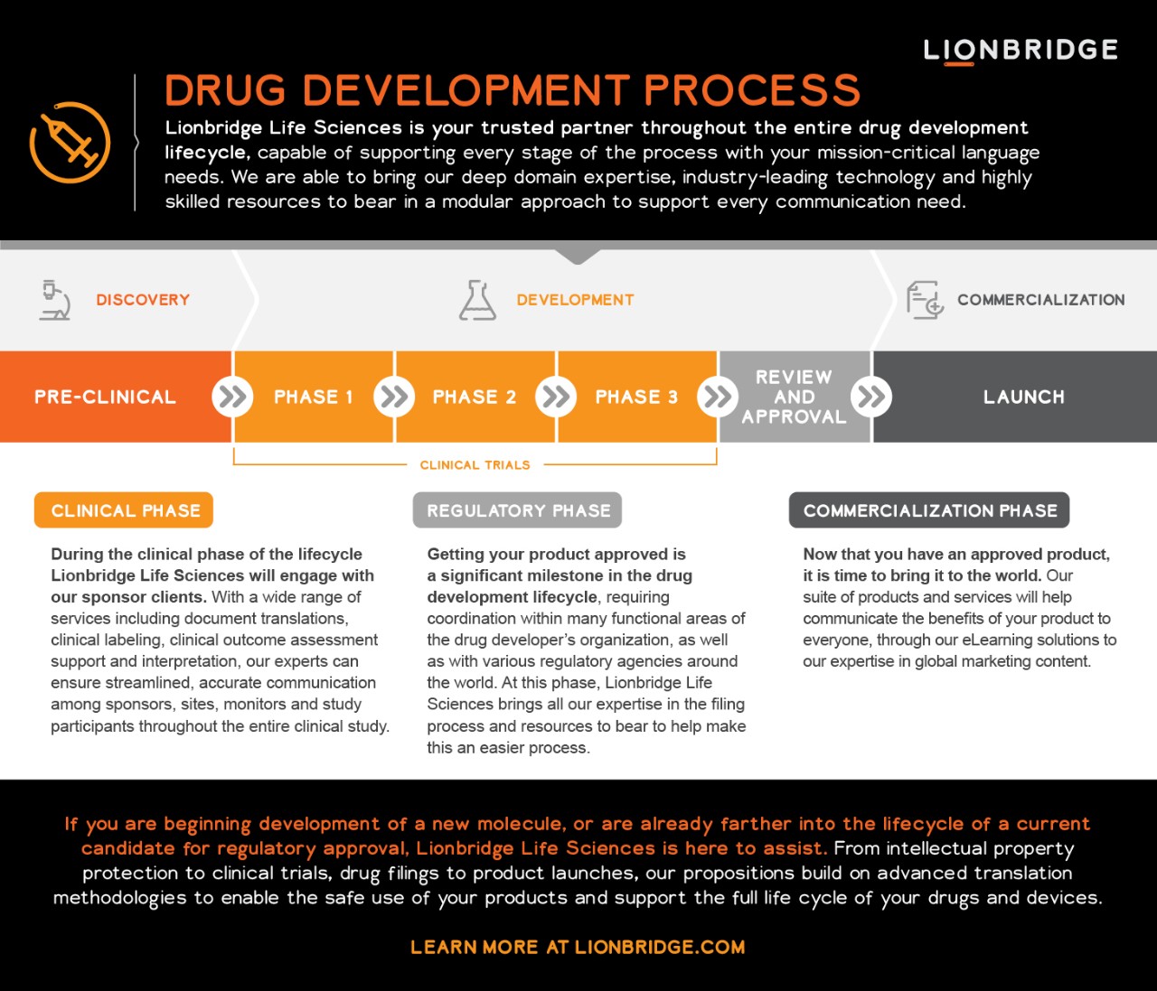 Drug development lifecycle infographic