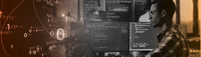 person looking at computer screens