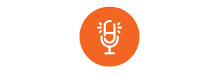 Voice icon