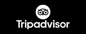 Client logo tripadvisor