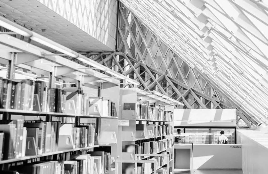 Sun streams into a light-filled library