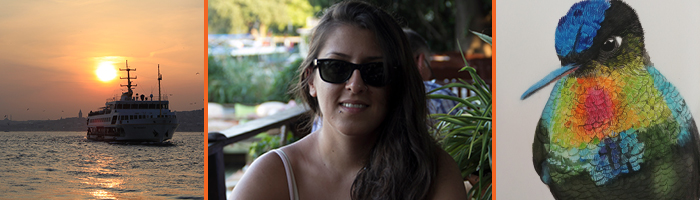 Pinar, her artwork, and a photo of Istanbul