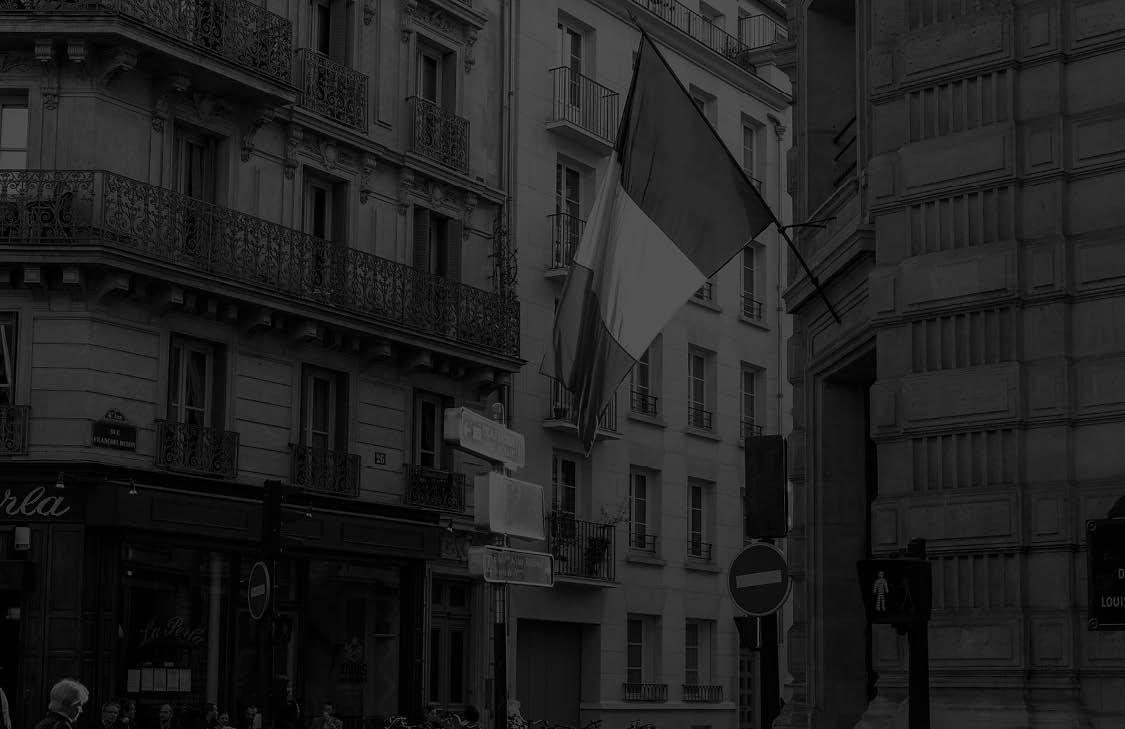 Lion In French Translation Definition And Meaning In English MeaningKosh