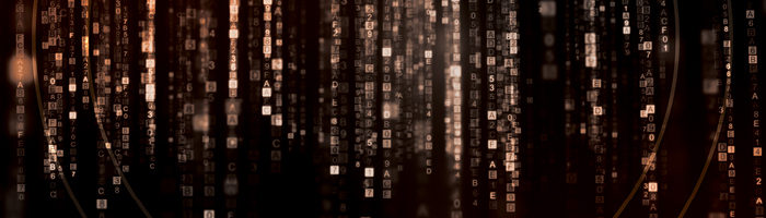 Digital stream of information 