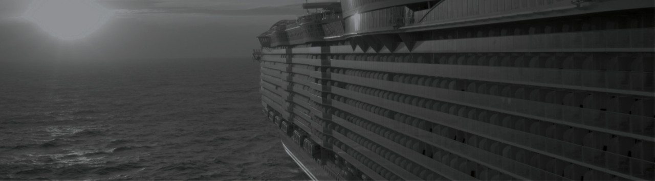 A cruise ship