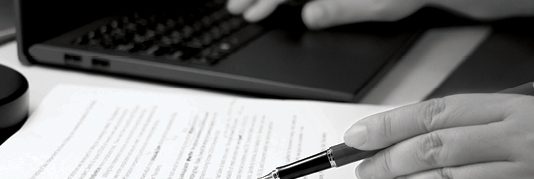 Person reviewing a document