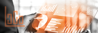 Person viewing business analytics and reports