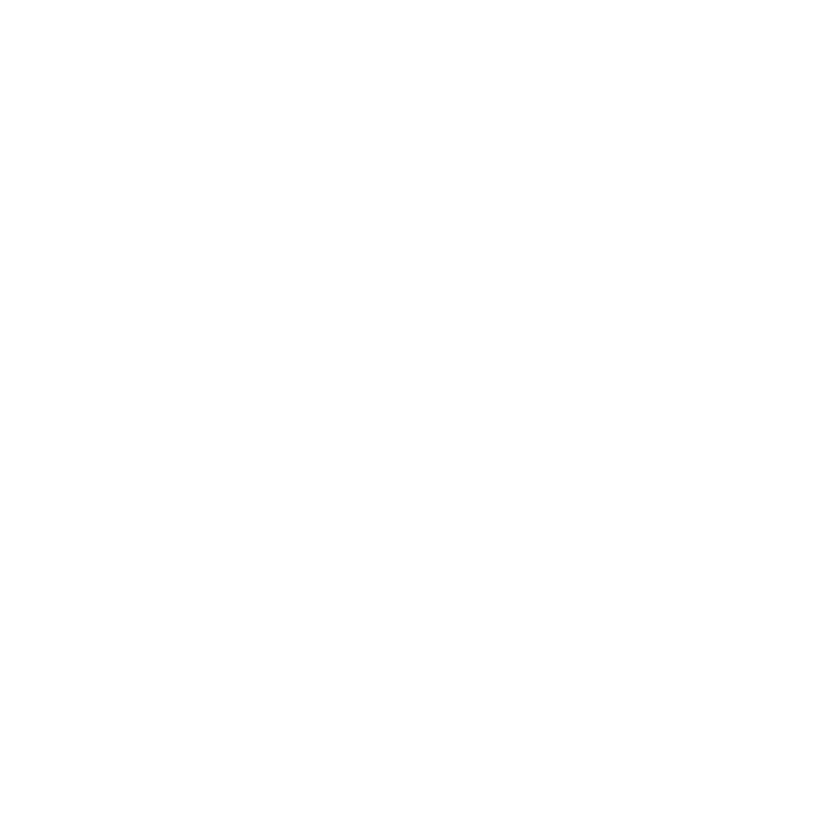 Solution icon