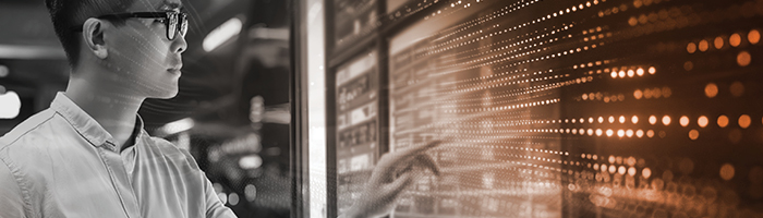 Una persona revisando conjuntos de datos complejos