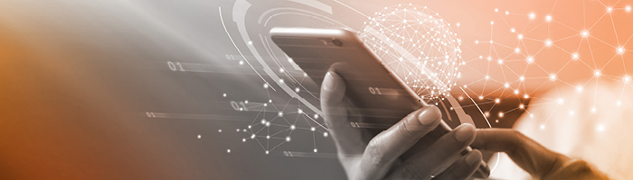 A person holding a mobile phone conducting a web search.