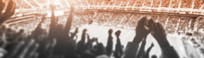 Stadium crowd celebrating