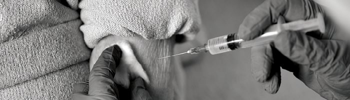 A pair of gloved hands uses a syringe to inject an educated patient