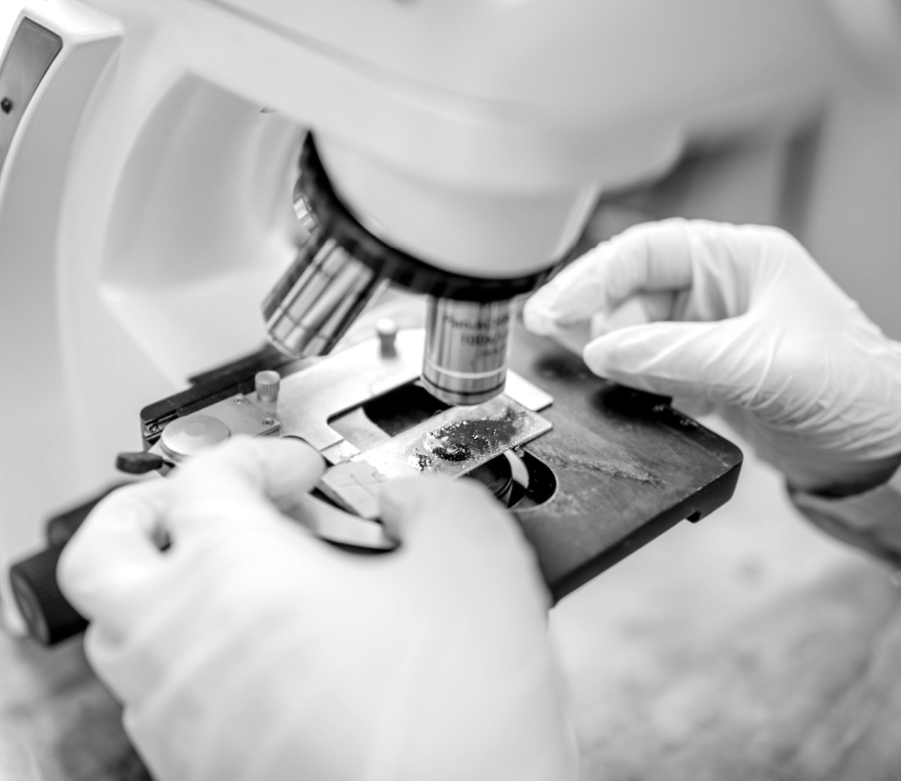 Researcher looking at a slide under a microscope