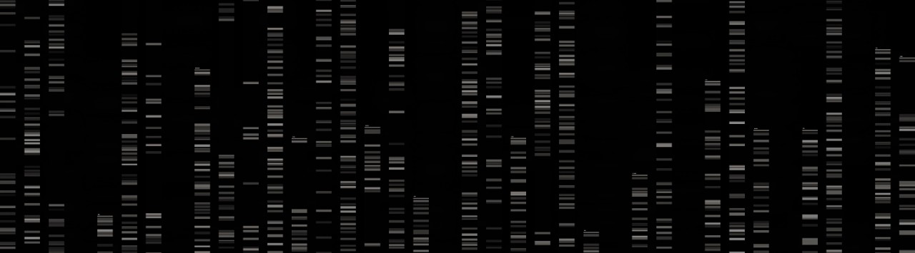 Columns of short horizontal lines reminiscent of SDS gel electrophoresis.