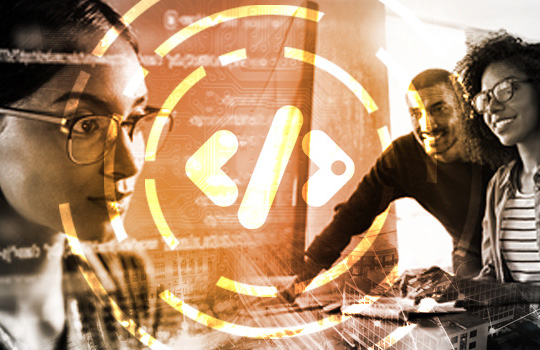 Professionals working on computers
